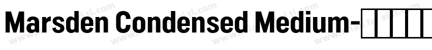 Marsden Condensed Medium字体转换